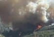 Estepona wildfire near Selwo Aventura brings health and possible evacuation warnings