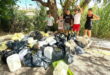 Eco Amigos to hold woodland clean-up in Casares Costa this Sunday
